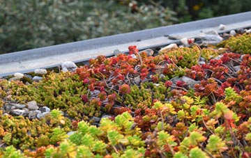 the cost of Balnabruich green roof installation