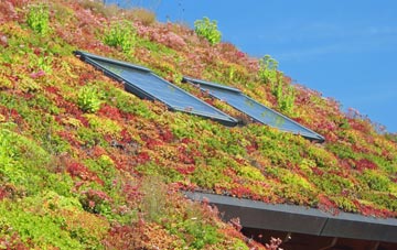 Balnabruich living roof systems
