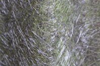 Balnabruich fibreglass roof work